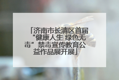济南市长清区首届“健康人生 绿色无毒”禁毒宣传教育公益作品展开展