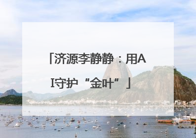 济源李静静：用AI守护“金叶”