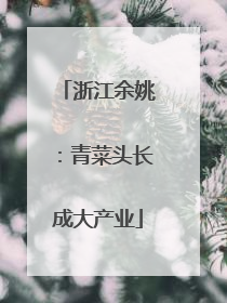 浙江余姚：青菜头长成大产业