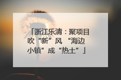 浙江乐清：聚项目吹“新”风 “海边小镇”成“热土”