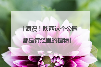 浪漫！陕西这个公园都是诗经里的植物