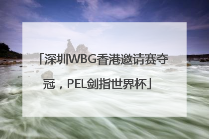 深圳WBG香港邀请赛夺冠，PEL剑指世界杯