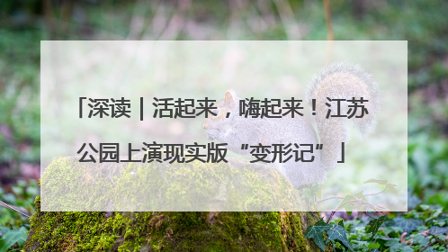 深读｜活起来，嗨起来！江苏公园上演现实版“变形记”