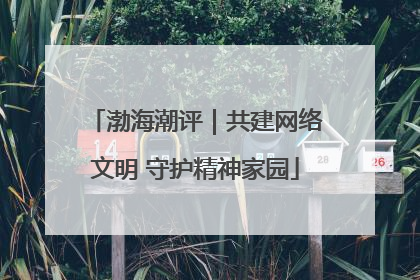 渤海潮评｜共建网络文明 守护精神家园