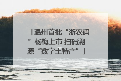 温州首批“浙农码”杨梅上市 扫码溯源“数字土特产”