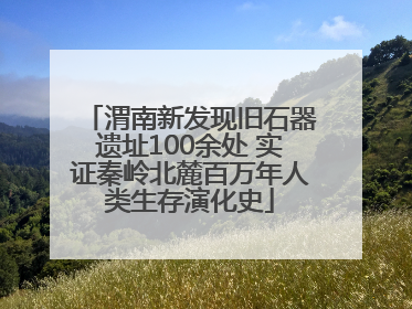 渭南新发现旧石器遗址100余处 实证秦岭北麓百万年人类生存演化史