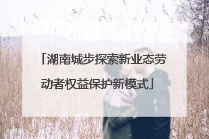 湖南城步探索新业态劳动者权益保护新模式