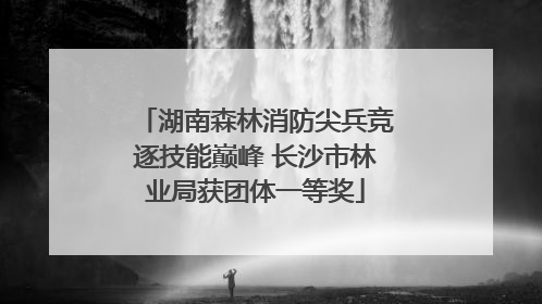 湖南森林消防尖兵竞逐技能巅峰 长沙市林业局获团体一等奖