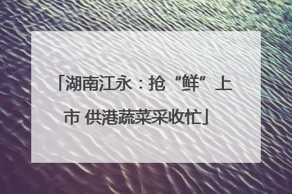 湖南江永：抢“鲜”上市 供港蔬菜采收忙