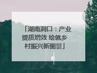 湖南洞口：产业提质增效 绘就乡村振兴新图景