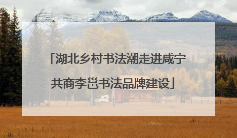 湖北乡村书法潮走进咸宁 共商李邕书法品牌建设