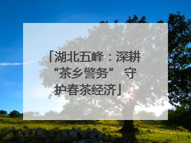 湖北五峰：深耕“茶乡警务” 守护春茶经济