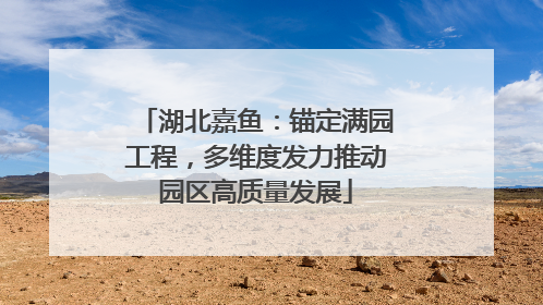 湖北嘉鱼：锚定满园工程，多维度发力推动园区高质量发展