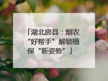 湖北房县：烟农“好帮手”解锁植保“新姿势”
