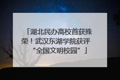 湖北民办高校首获殊荣！武汉东湖学院获评“全国文明校园”