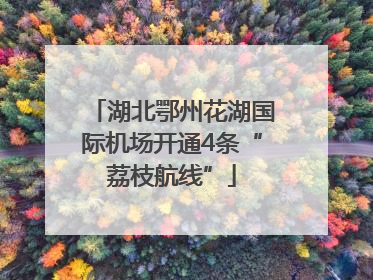 湖北鄂州花湖国际机场开通4条“荔枝航线”
