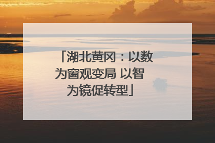 湖北黄冈：以数为窗观变局 以智为镜促转型