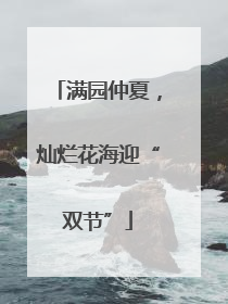 满园仲夏，灿烂花海迎“双节”