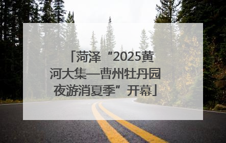 菏泽“2025黄河大集—曹州牡丹园夜游消夏季”开幕
