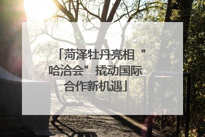 菏泽牡丹亮相“哈洽会”撬动国际合作新机遇