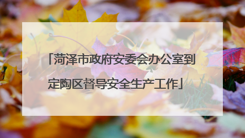 菏泽市政府安委会办公室到定陶区督导安全生产工作