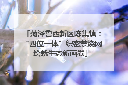 菏泽鲁西新区陈集镇：“四位一体”织密禁烧网 绘就生态新画卷