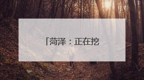 菏泽：正在挖掘“一朵牡丹花”的无限生机