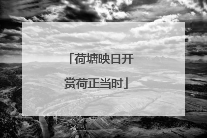 荷塘映日开 赏荷正当时