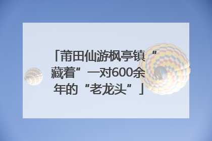 莆田仙游枫亭镇“藏着”一对600余年的“老龙头”