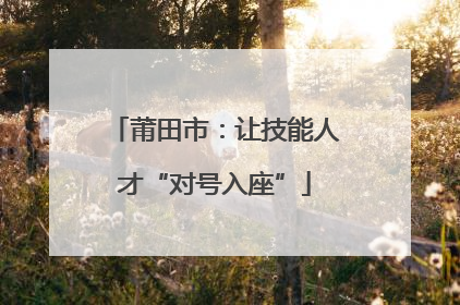 莆田市：让技能人才“对号入座”