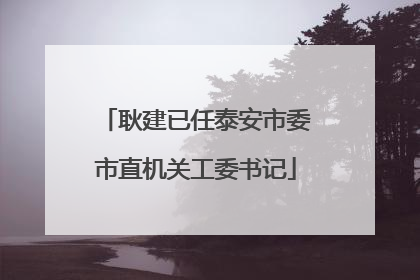 耿建已任泰安市委市直机关工委书记