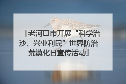 老河口市开展“科学治沙、兴业利民”世界防治荒漠化日宣传活动