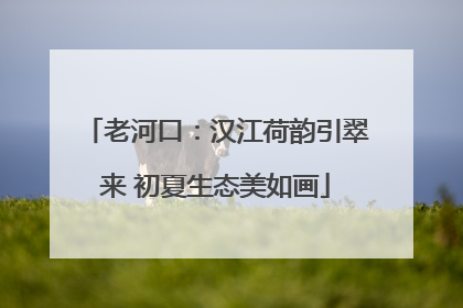 老河口：汉江荷韵引翠来 初夏生态美如画
