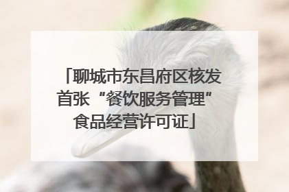 聊城市东昌府区核发首张“餐饮服务管理”食品经营许可证