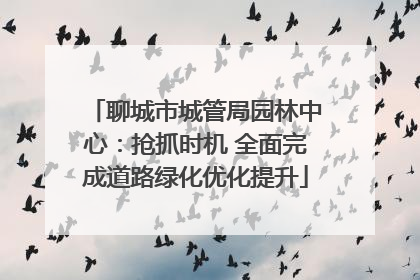 聊城市城管局园林中心：抢抓时机 全面完成道路绿化优化提升