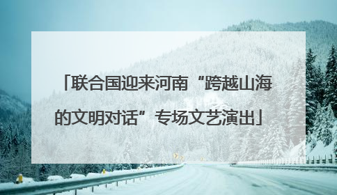 联合国迎来河南“跨越山海的文明对话”专场文艺演出