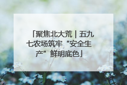 聚焦北大荒｜五九七农场筑牢“安全生产”鲜明底色