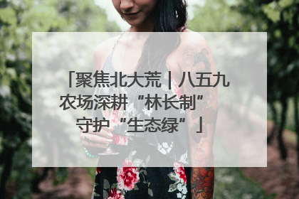 聚焦北大荒｜八五九农场深耕“林长制” 守护“生态绿”