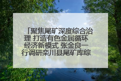 聚焦尾矿深度综合治理 打造有色金属循环经济新模式 张金良一行调研栾川县尾矿库综合治理工作