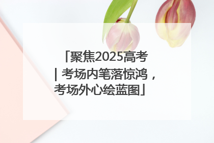 聚焦2025高考｜考场内笔落惊鸿，考场外心绘蓝图