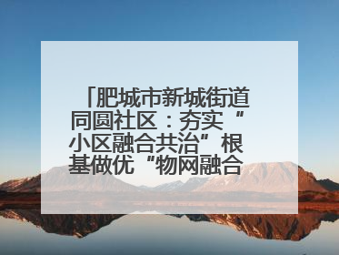 肥城市新城街道同圆社区：夯实“小区融合共治”根基做优“物网融合一家亲”品牌