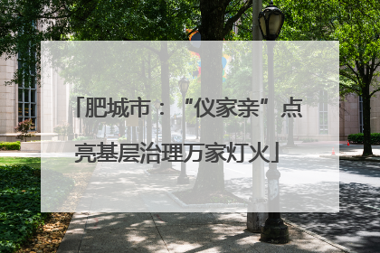 肥城市：“仪家亲”点亮基层治理万家灯火