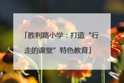 胜利路小学：打造“行走的课堂”特色教育