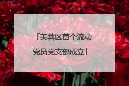 芙蓉区首个流动党员党支部成立