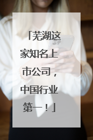 芜湖这家知名上市公司，中国行业第一！