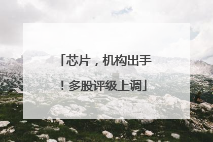 芯片，机构出手！多股评级上调