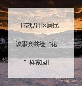 花堤社区居民议事会共绘“花”样家园