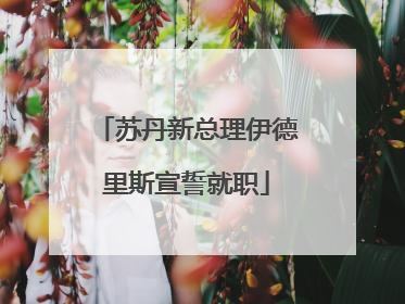 苏丹新总理伊德里斯宣誓就职
