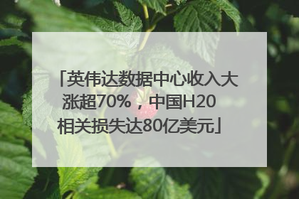 英伟达数据中心收入大涨超70%，中国H20相关损失达80亿美元