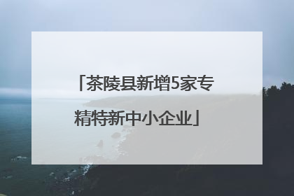茶陵县新增5家专精特新中小企业